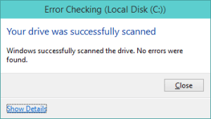 windows cannot run disk checking