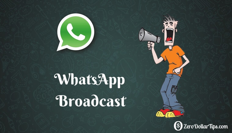 How to send whatsapp message to all contacts at once