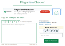 website seo checker plagiarism checker