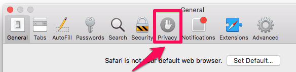 safari privacy