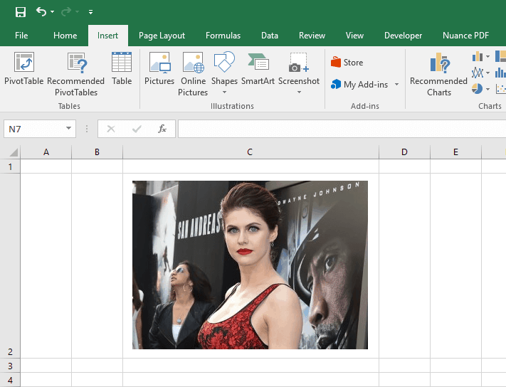 insert picture into excel cell