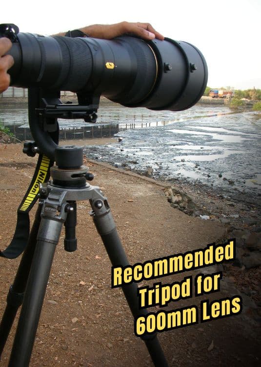 recommended tripod for 600mm lens