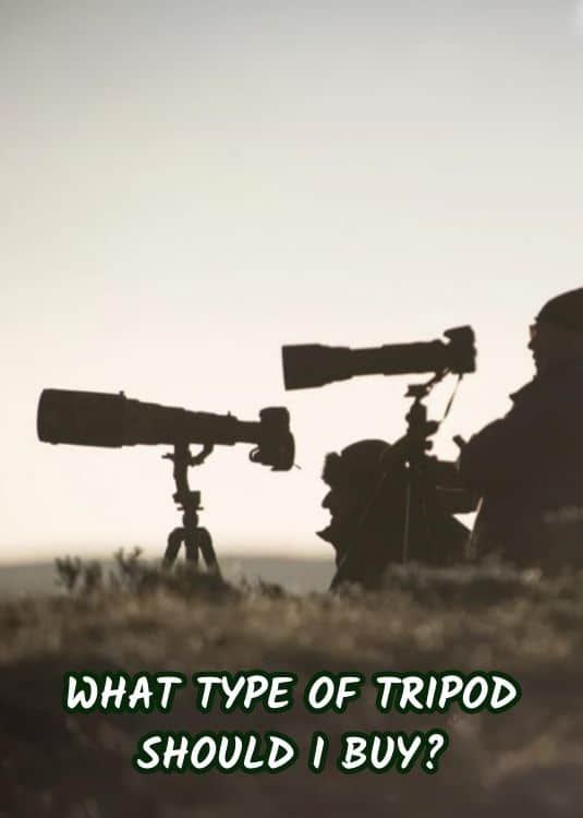 tripod for 600mm lens